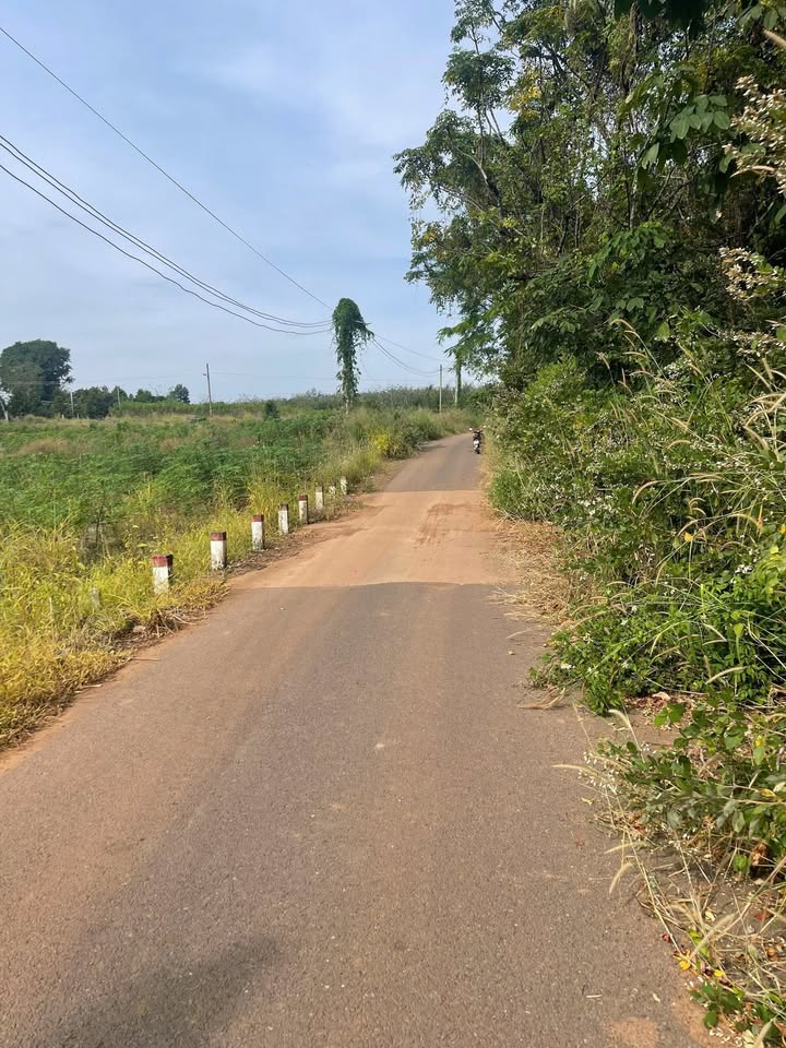 Đất nền Ấp Phú Bằng, Xã An Linh, 250m² giá 520 triệu - Cơ hội đầu tư hấp dẫn!