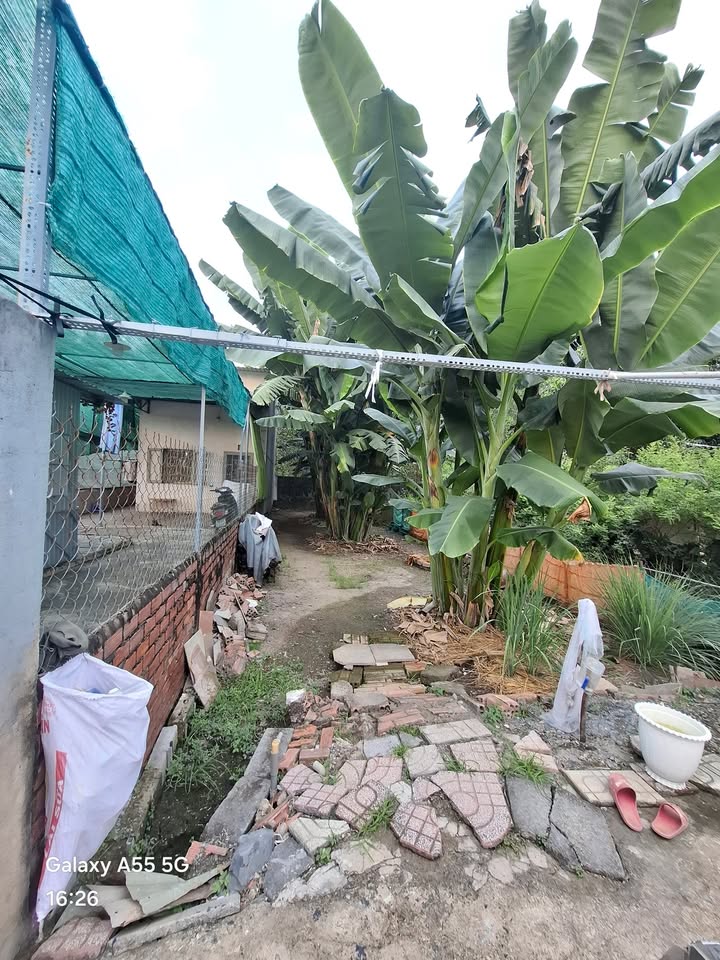 Đất nền Phường Tân Triều 100m² giá 650 triệu - Sổ riêng chính chủ!