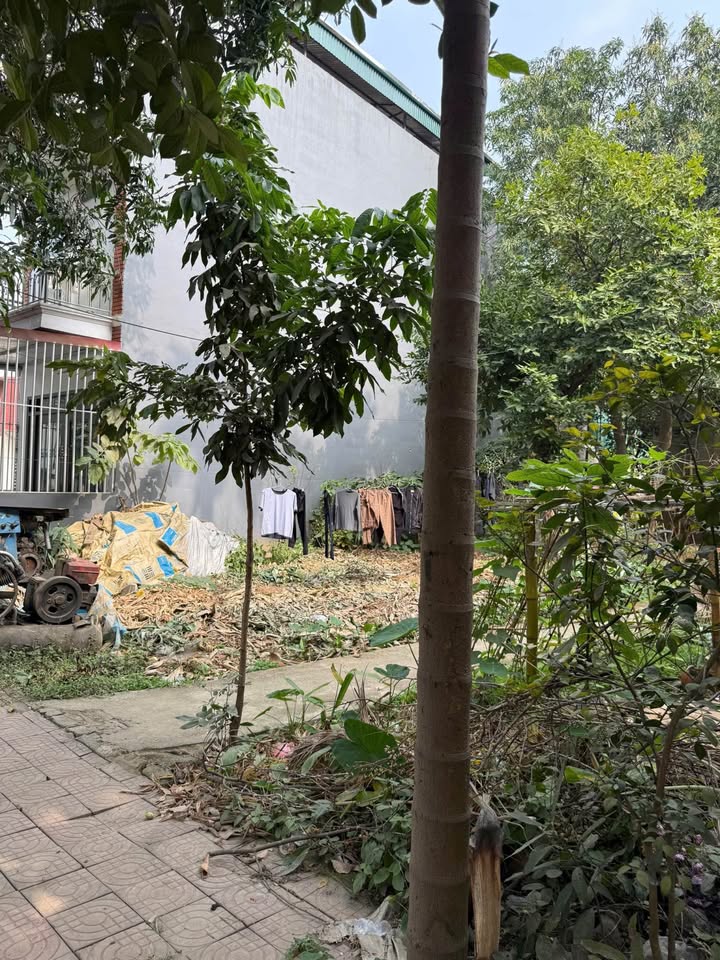 Đất nền Dự án Bình Minh Lào Cai 120m² giá 3.1 tỷ - Đầu tư sinh lời ngay!