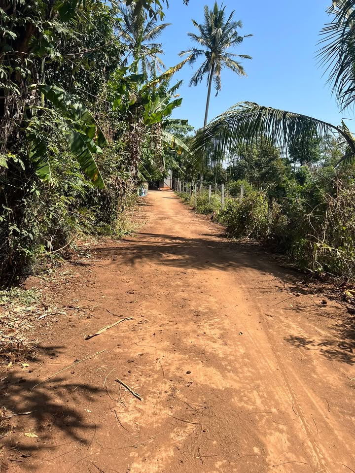 Đất nền lô 5 LK Chucap, P.Bình Tân, 1500m² giá chỉ 150 triệu - Cơ hội đầu tư hấp dẫn!