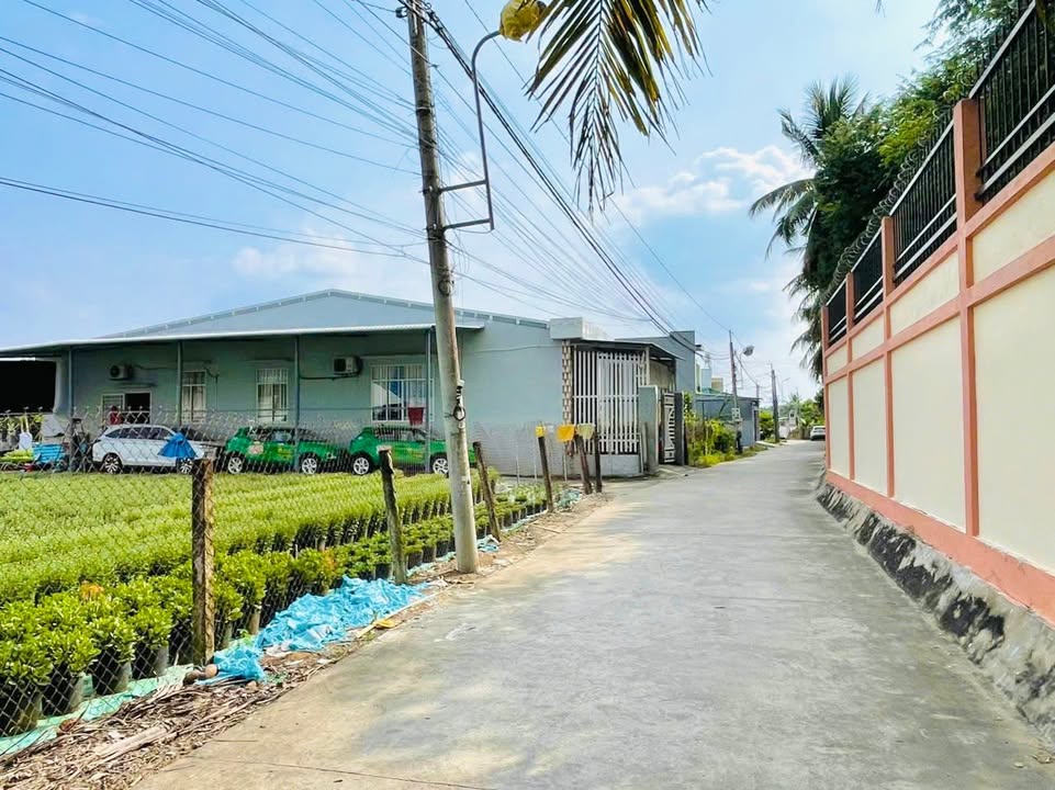 Đất nền đẹp QL50, Huyện Đức Hòa, 100m² giá 2.2 tỷ - Đầu tư lý tưởng cho tương lai!