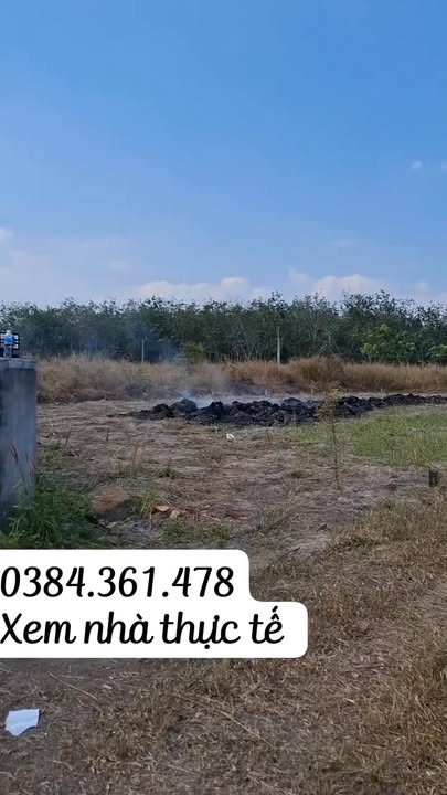 Nhà Gò Dầu 100m² giá 500 triệu - Sổ hồng chính chủ, tiện kinh doanh