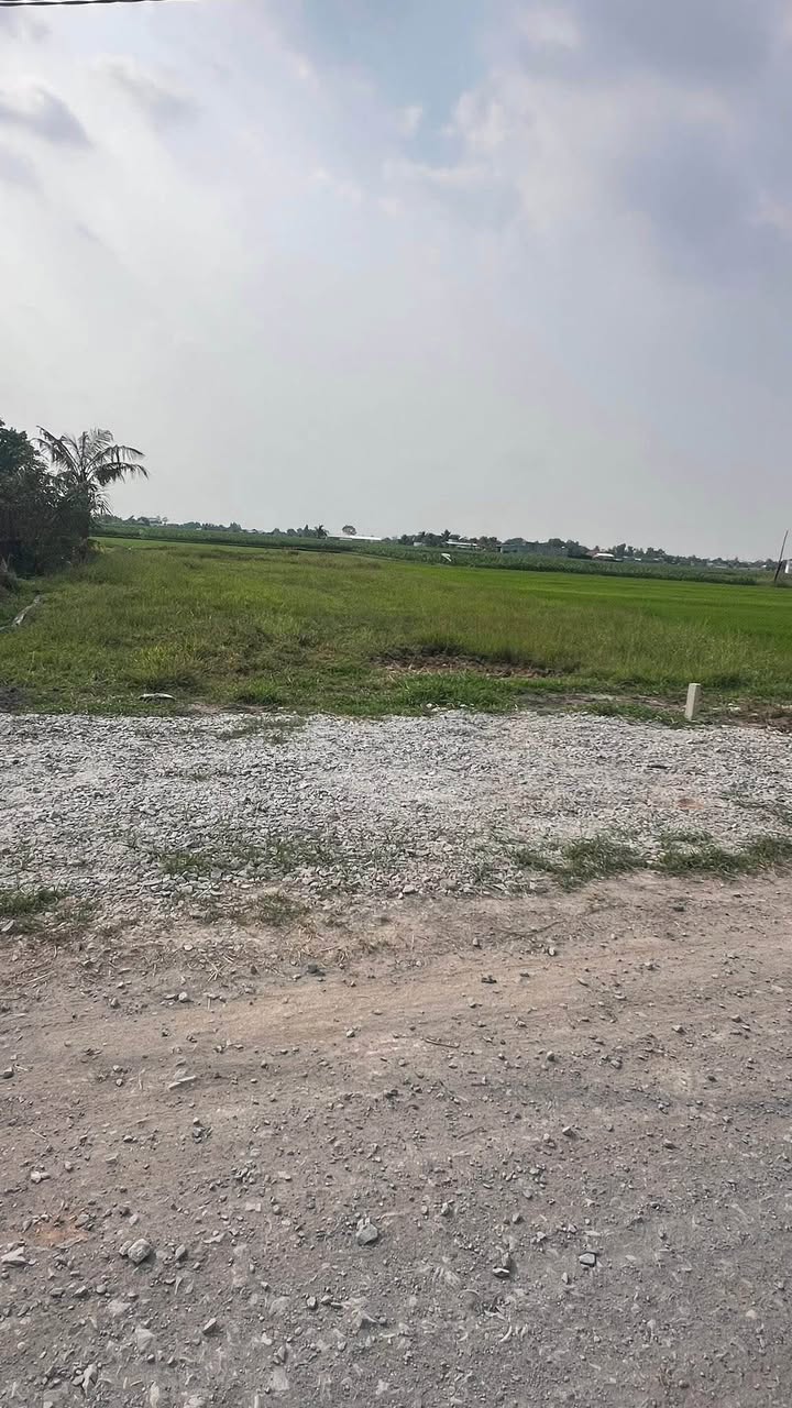 Lô đất thổ cư 500m² Huyện Đức Hòa giá 2.3 tỷ - Sổ hồng chính chủ, vị trí đắc địa!