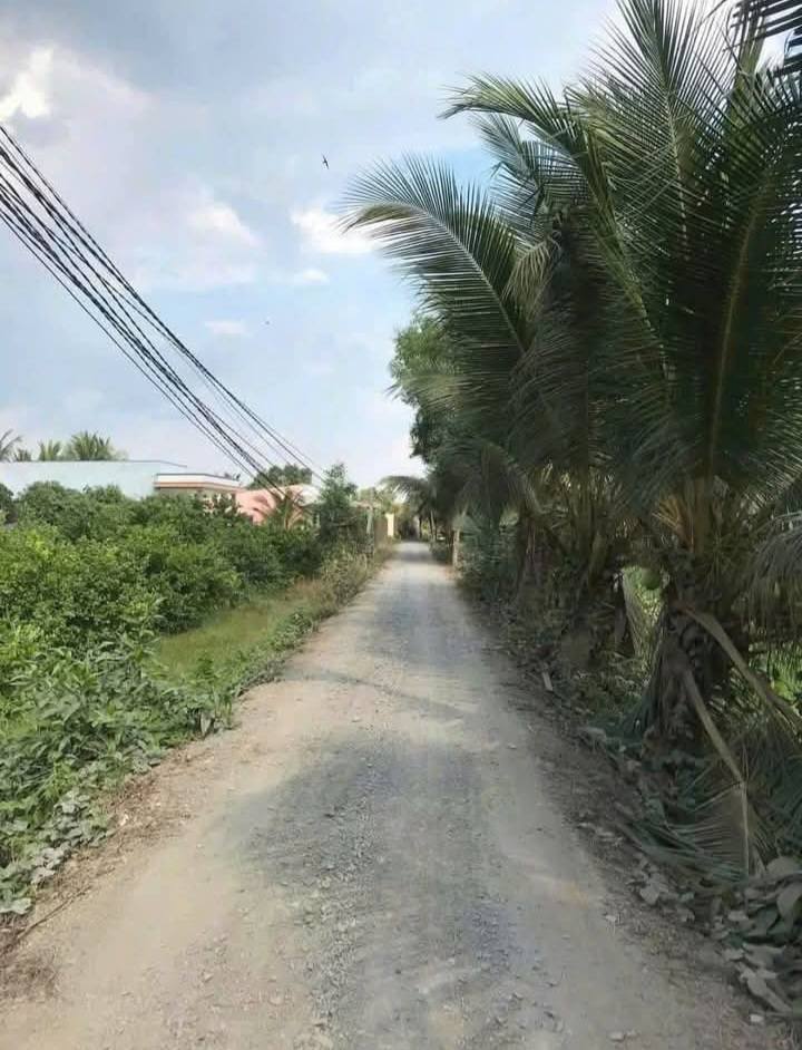 Đất vườn 500m² tại Ấp 9 Lương Hòa, Bến Lức chỉ 650 triệu - Đầu tư lý tưởng!