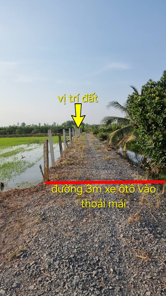 Đất vườn Thủ Thừa 543m² giá 420 triệu - Sổ hồng chính chủ, công chứng ngay!