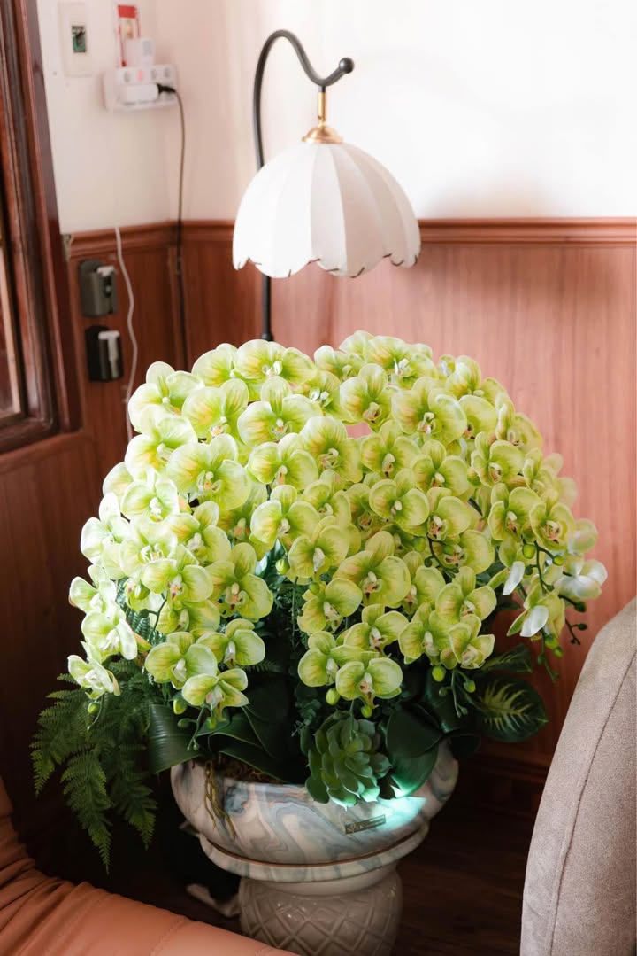 Đất thổ cư chính chủ tại Thôn Kon Rờ Bàng 1, Vinh Quang, 160m² - Giá chỉ 400 triệu!