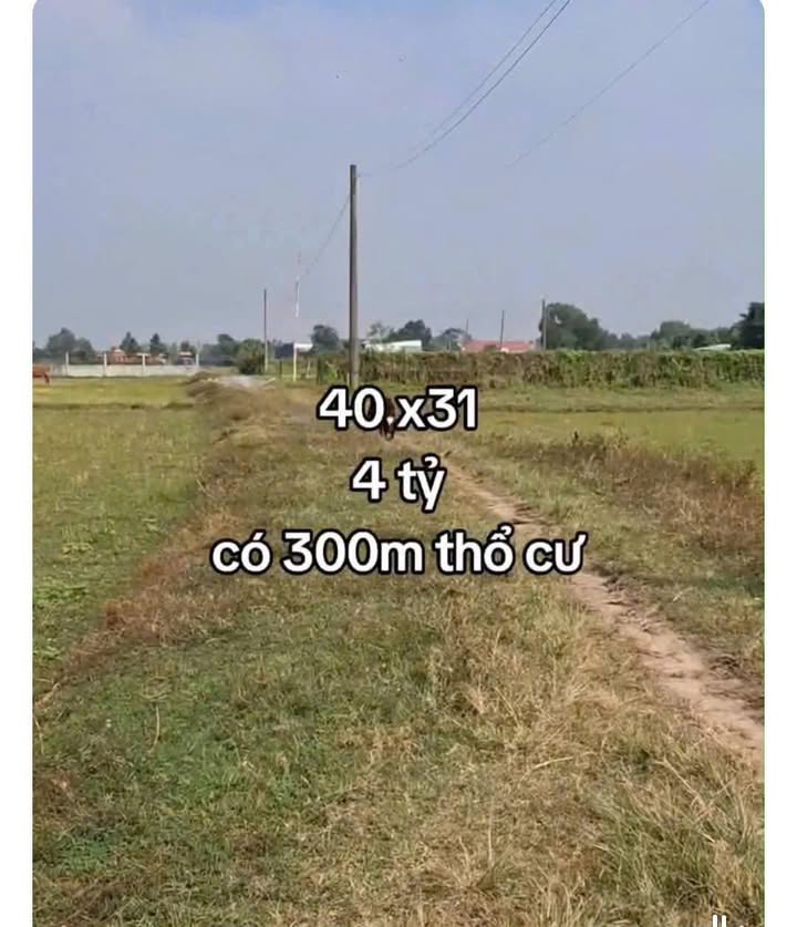 Đất thổ cư tại Xã Mỹ Hạnh Nam, Huyện Đức Hòa, 1240m² giá 4 tỷ - Pháp lý rõ ràng!