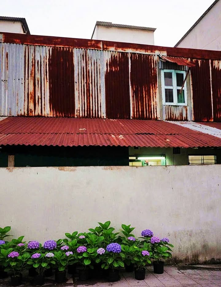 Nhà phố Tân Hòa Đông, Quận 6, 155m² giá 9.8 tỷ - Tiềm năng đầu tư sinh lời!