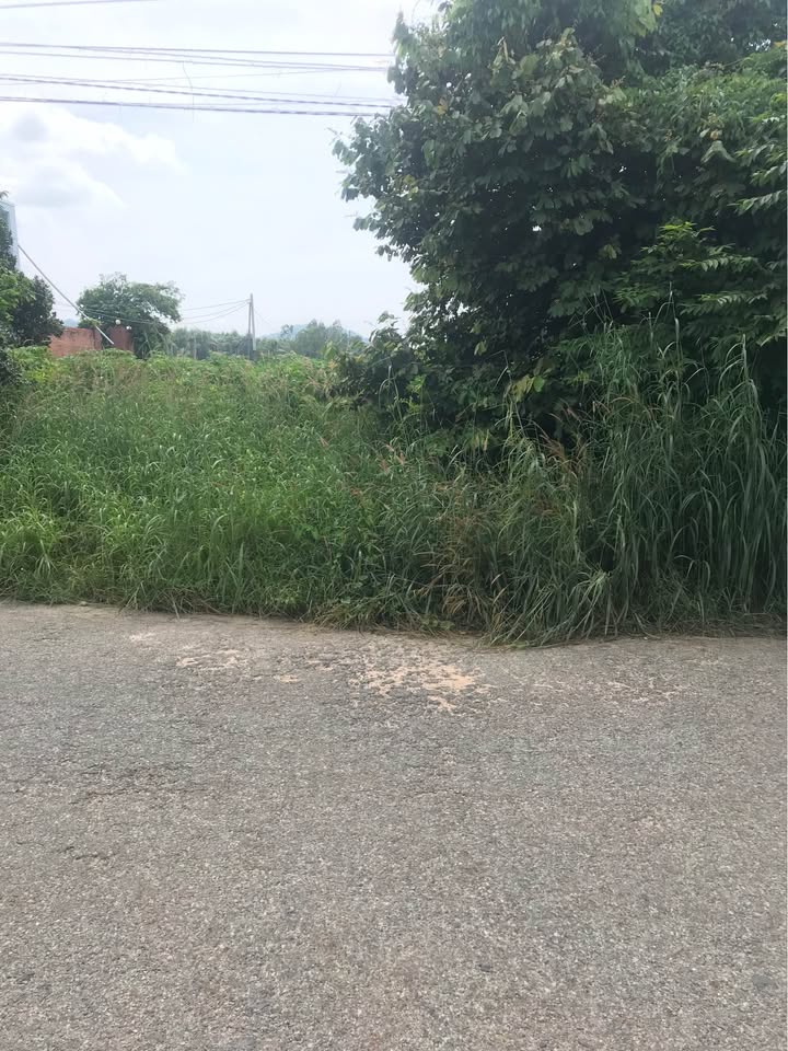 Đất nền lô góc 2 mặt tiền đường nhựa Phú Mỹ 275m² - Cơ hội đầu tư hấp dẫn!