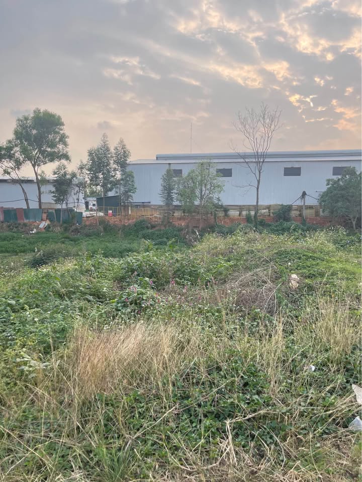 Đất mặt đường Quốc lộ 17 tại Nghĩa Trung, 80m² giá 2.4 tỷ - Kinh doanh lý tưởng!