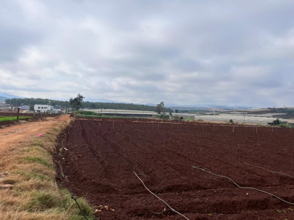 Đất nền Thạnh Mỹ Đạ Ròn 2800m² giá 3.8 tỷ - Sổ đỏ chính chủ, thuận tiện xây dựng