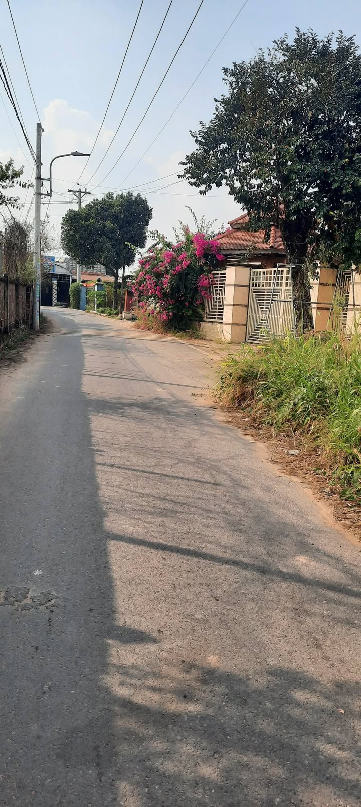 Đất nền Phường Hòa Lợi Bến Cát 175m² giá 1.3 tỷ - Đầu tư sinh lời hấp dẫn!