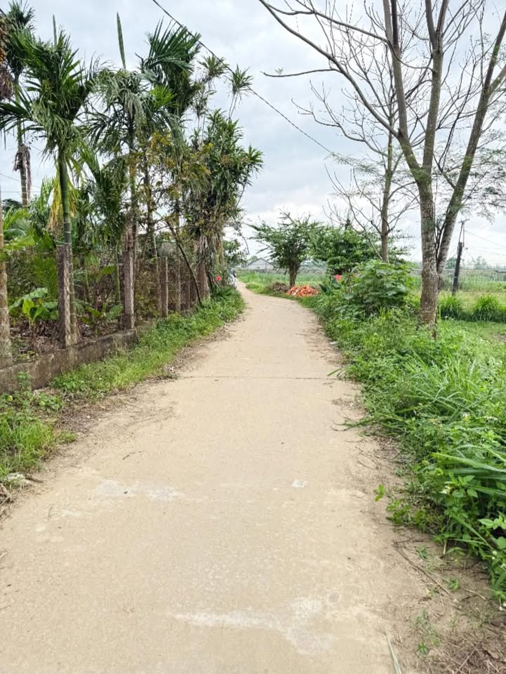 Đất nền Bắc Nhạn Tháp, Nhơn Hậu, An Nhơn 910m² - Cơ hội đầu tư hiếm có!