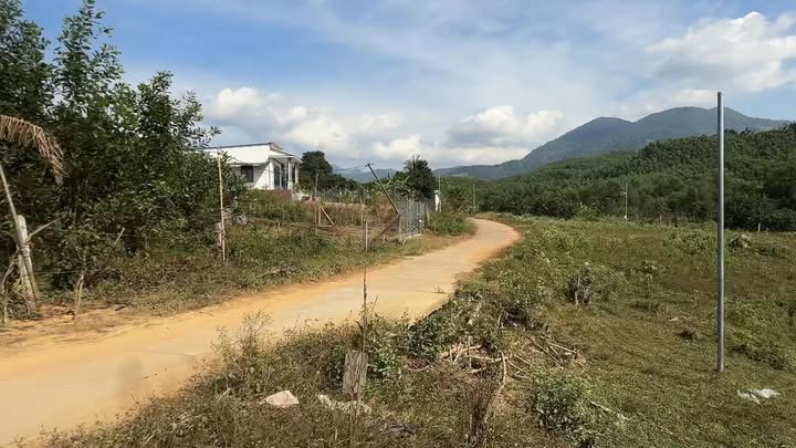 Đất nền Suối Thơm, Khánh Bình 800m² giá chỉ 600 triệu - Cơ hội đầu tư hấp dẫn!