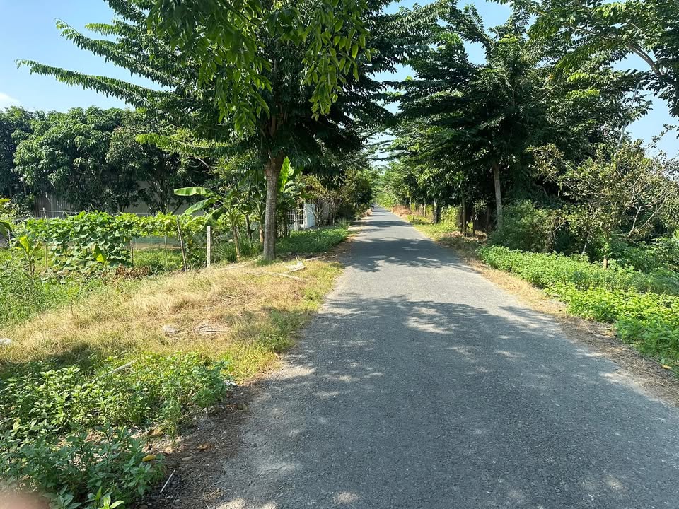 Đất nền đường Vành Đai, xã Vĩnh Thạnh, 445m² giá 1.889 tỷ - Cơ hội đầu tư không thể bỏ lỡ!