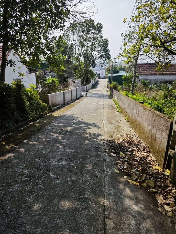 Đất thổ cư 306m² tại Xã Nam Xuân, Huyện Nam Đàn - Cơ hội đầu tư lý tưởng!