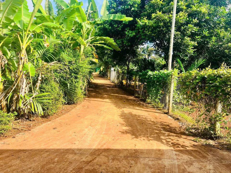 Đất nền Phường Tân Lập, 300m² giá 1.4 tỷ - Cơ hội đầu tư tuyệt vời!