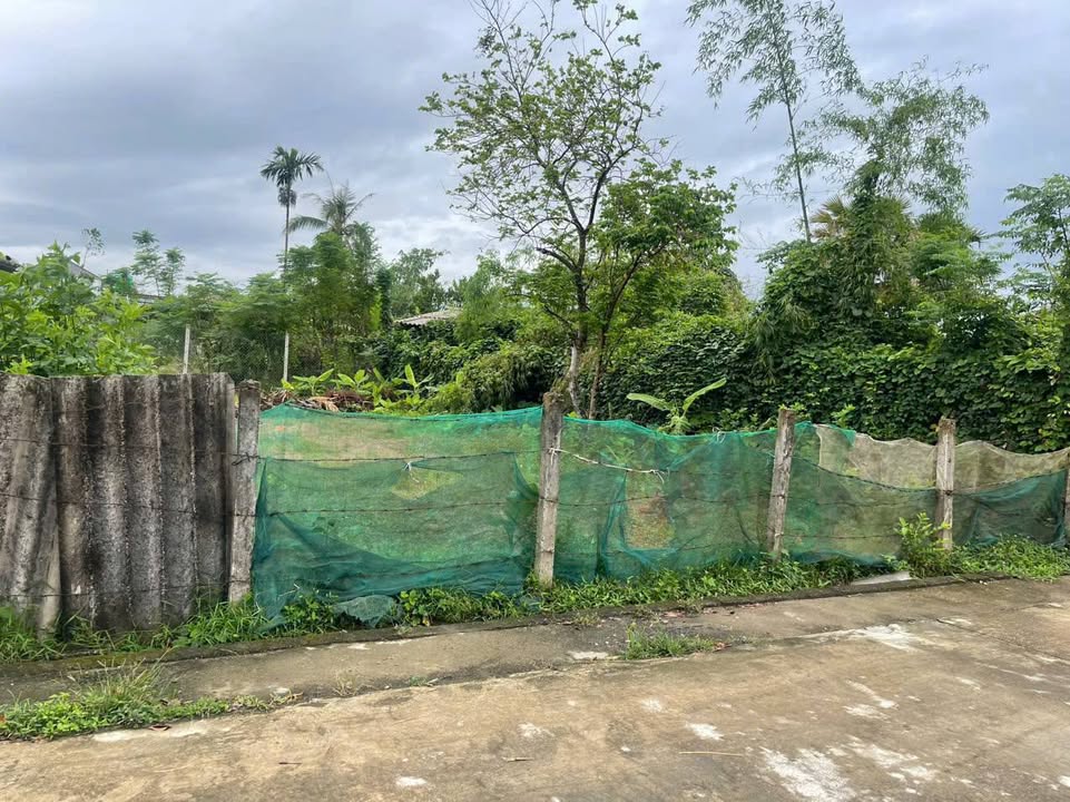 Đất nền Thạch Đài 100m² giá 1.1 tỷ - Vị trí thuận lợi gần trường học!