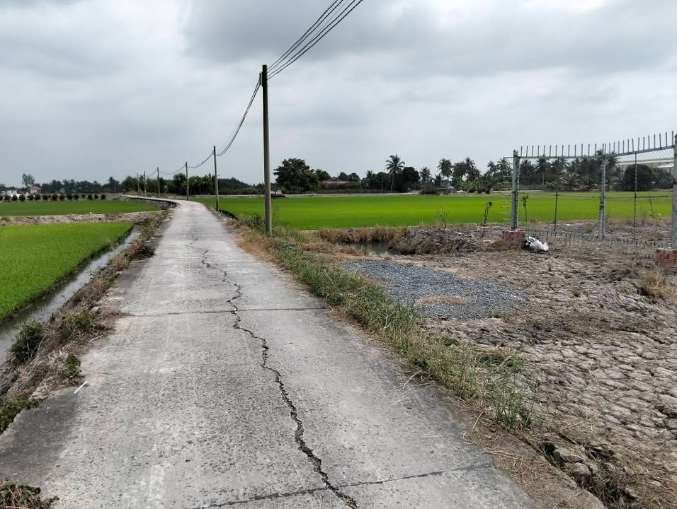 Đất nông nghiệp 2800m² xã Tân Đông - Giá chỉ 3 tỷ, sổ hồng chính chủ!