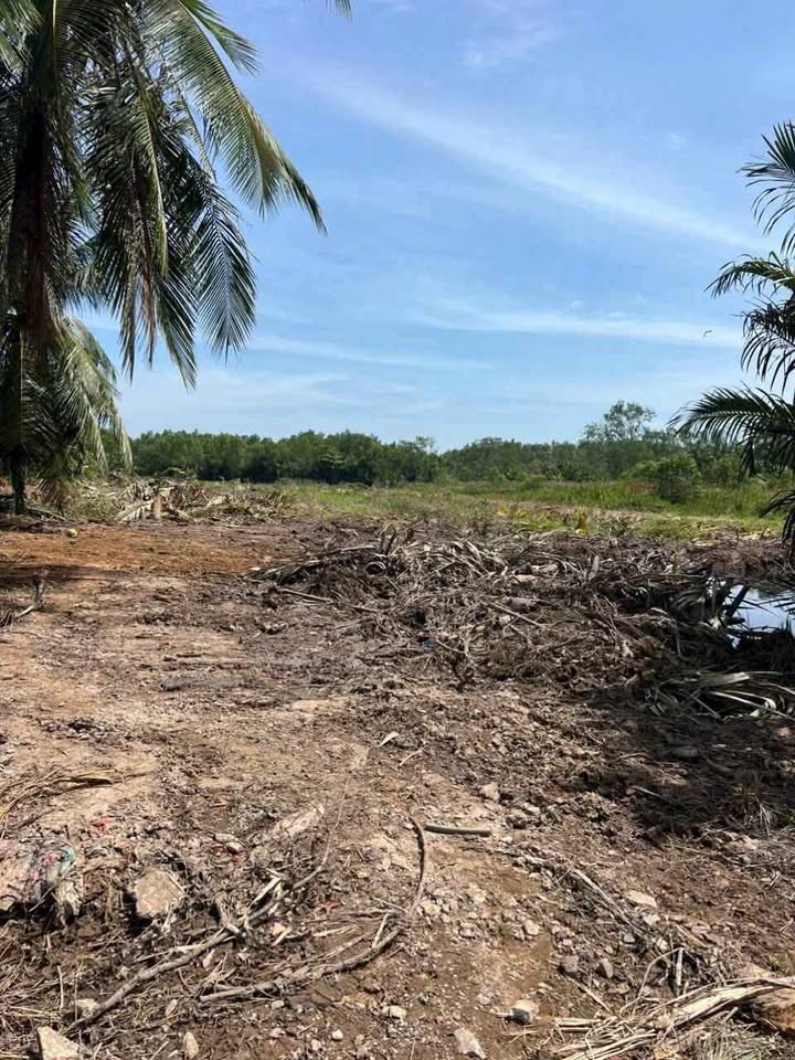 Warehouse Tân Mỹ 11.000m² giá 8 tỷ - Đất 2 mặt tiền sông tuyệt đẹp!