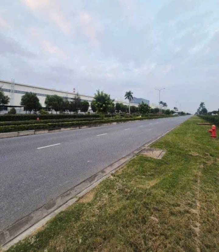 Bán đất công nghiệp KCN Đình Vũ, Hải Phòng 53.518m² giá 155 tỷ - Vị trí vàng cho nhà xưởng!