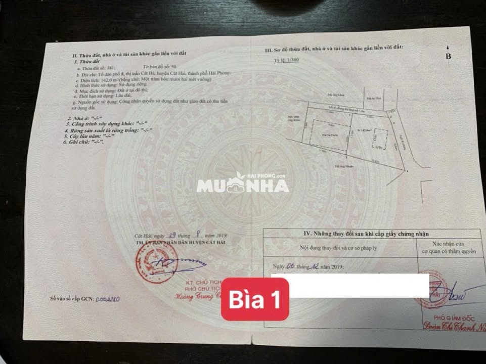 Đất thổ cư Cát Bà 300m² giá cả thương lượng - Đầu tư lý tưởng!