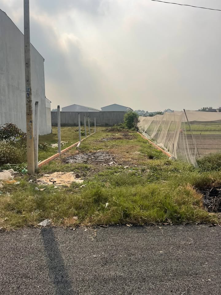 Đất thổ cư 120m² mặt tiền đường nhựa Tân Phú Trung, Củ Chi chỉ 2,5 tỷ - Sổ hồng riêng