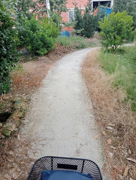 Farm 48.000m² tại Cai Lậy, Tiền Giang - Giá chỉ 3.12 tỷ, thổ cư 300m²