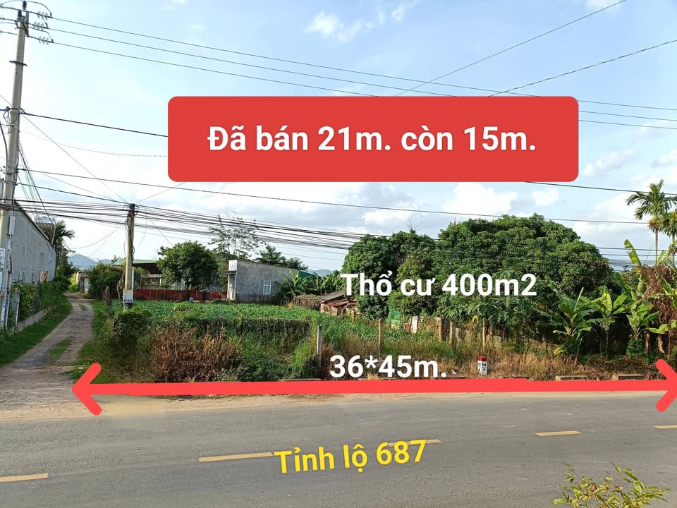 Đất nền thổ cư Đắk Liêng Lắk 1620m² - Giá tốt cho nhà đầu tư!