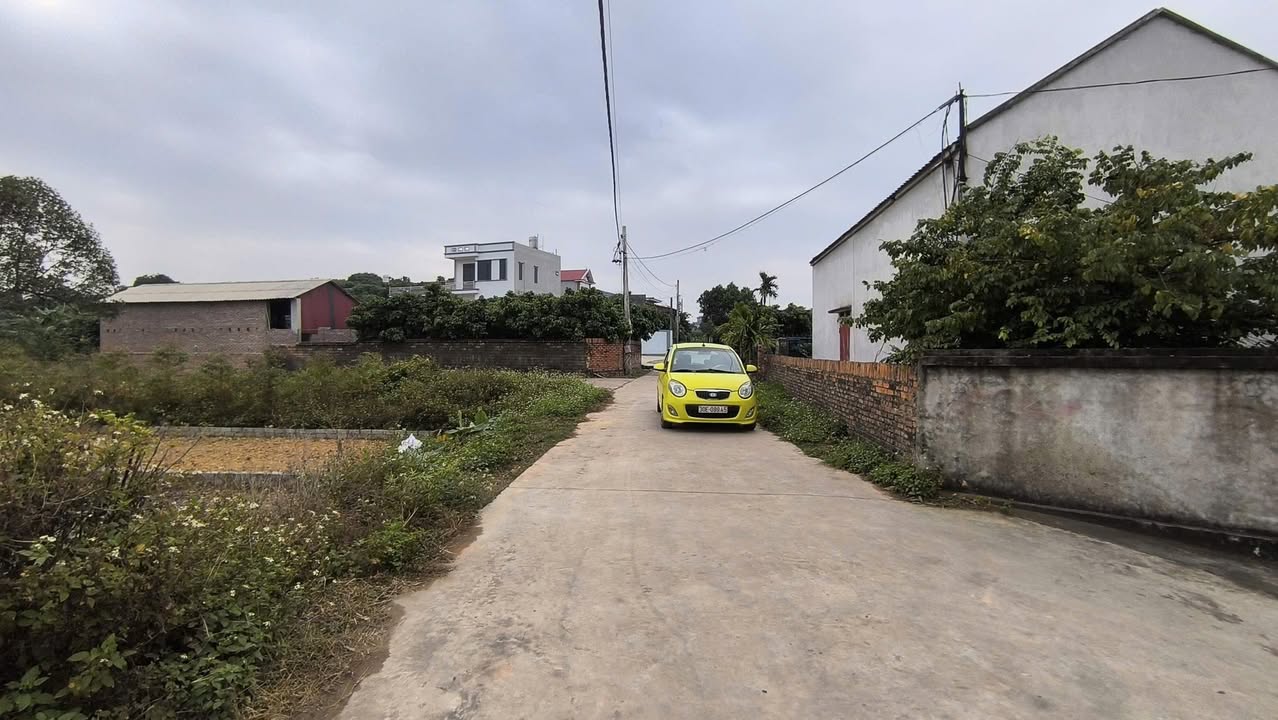 Đất nền Hợp Đức, Tân Yên 100m² giá 500 triệu - Đường thông rộng rãi