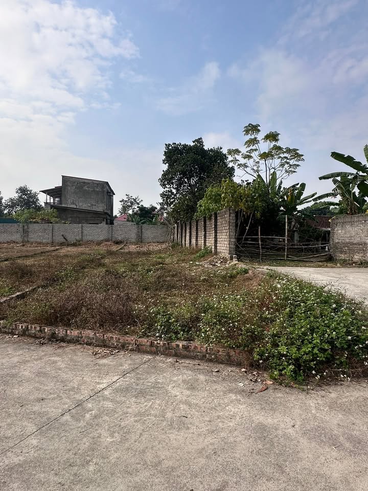 Đất nền Xã Danh Thắng, Hiệp Hòa 193m² giá 800 triệu - Vị trí đắc địa gần khu công nghiệp!