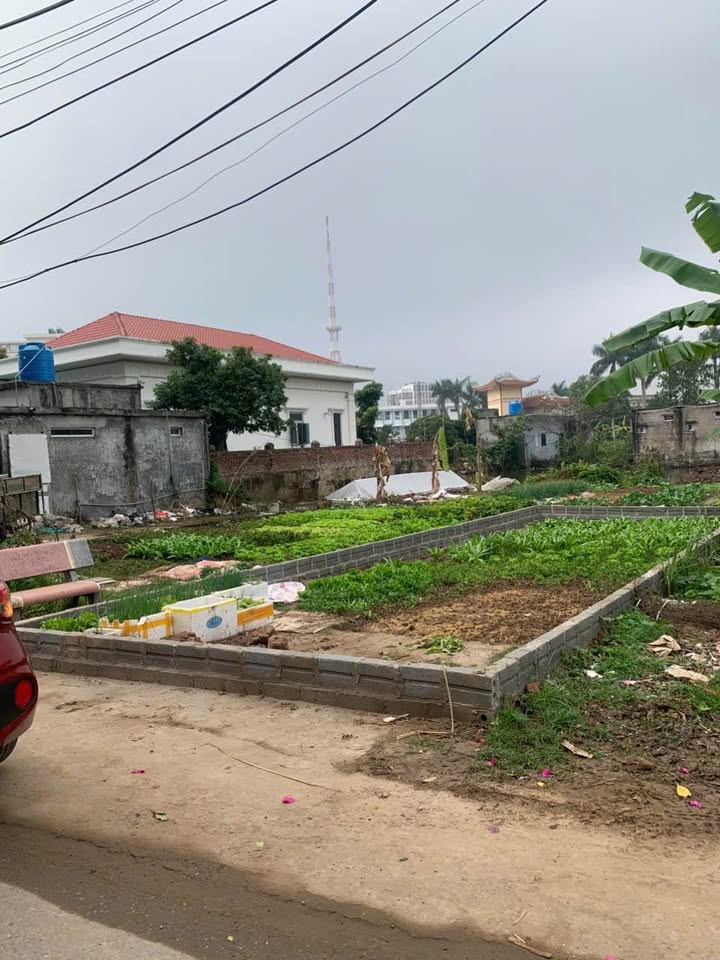 FrontHouse Hoàng Diệu, Thái Bình 45m² giá 1.65 tỷ - Đường lớn ô tô tránh nhau!