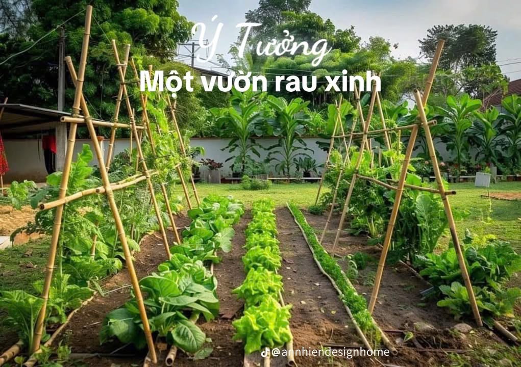 Nhà vườn 5.000m² tại Bà Nà, Đà Nẵng - Không khí trong lành, an yên!