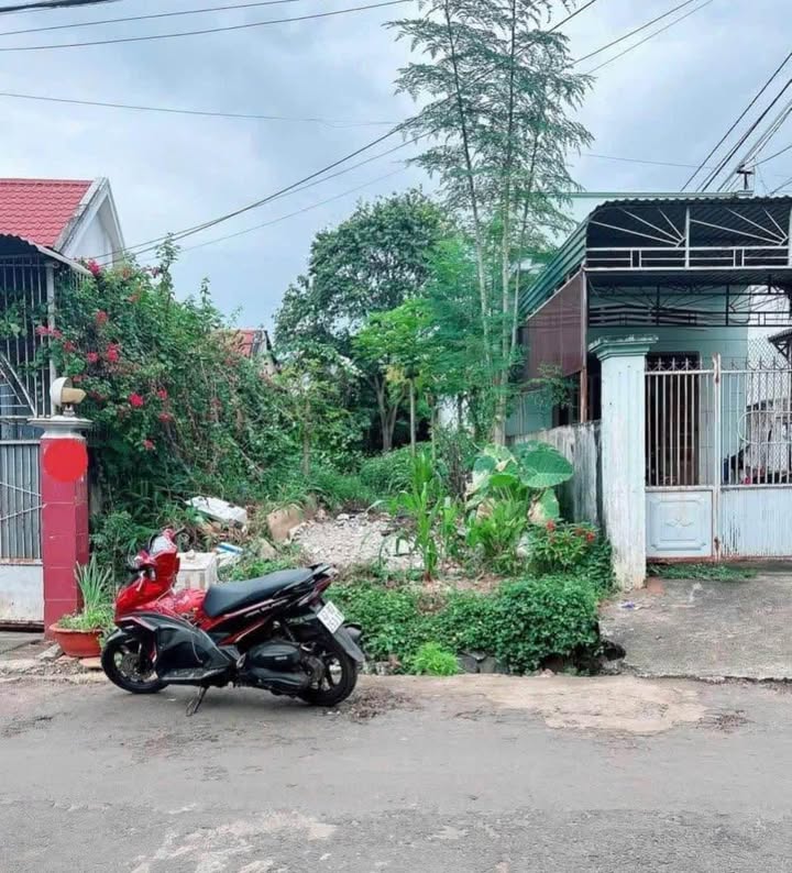 Đất mặt tiền Đặng Văn Ngữ, Phường Ea Tam, 132m² giá 3.2 tỷ - Sổ đỏ chính chủ!