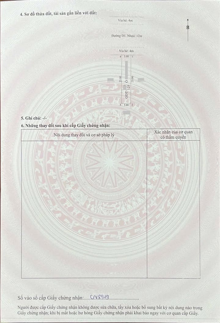 Nhà phố D1 Vsing, 125m² chỉ 6 tỷ - Sẵn sàng vào ở ngay!