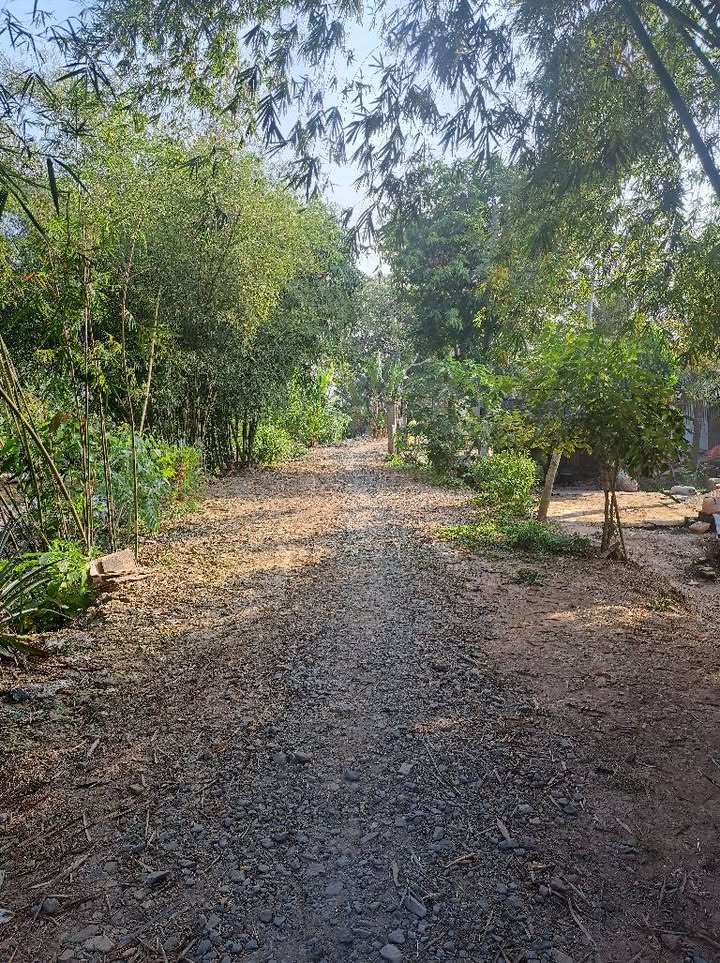 Đất nền 3.700m² xã Hòa Long, Lai Vung, Đồng Tháp - Giá chỉ 1.221 tỷ