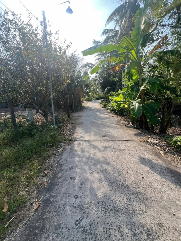 Đất nền Phường 3, Sa Đéc 40m² giá 280 triệu - Tiềm năng đầu tư cao!