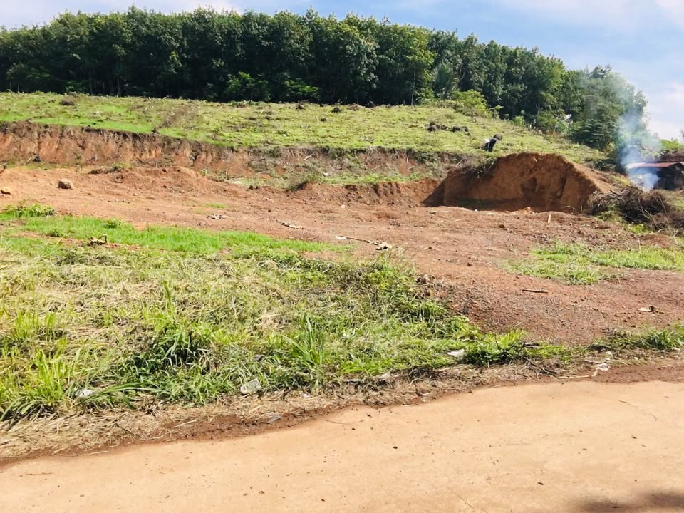 Đất nền 2001m² tại Ấp 3, Tân An - Sổ đỏ chính chủ, đầu tư hấp dẫn chỉ 1.4 tỷ!