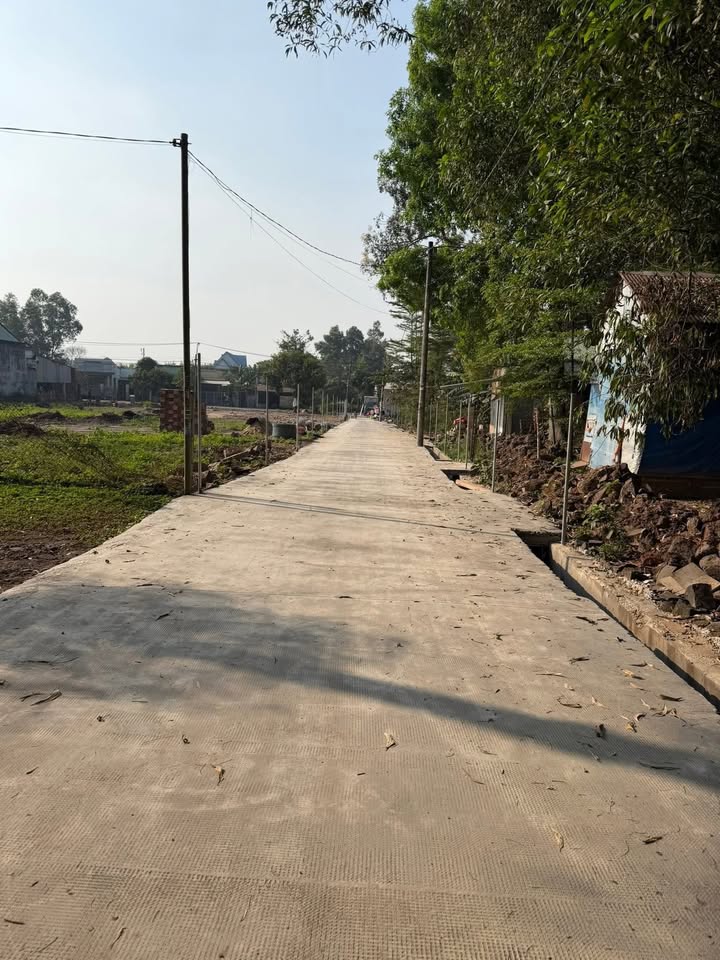 Đất nền thổ cư 100% tại Ấp Độc Lập, Giang Điền - Chỉ 900 triệu sở hữu ngay!