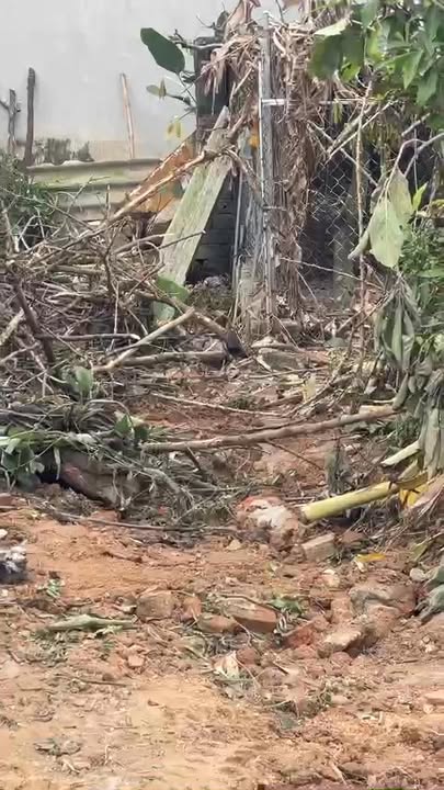 Đất Hương Mai, Việt Yên 218m² chỉ 900 triệu - Cơ hội đầu tư hấp dẫn!