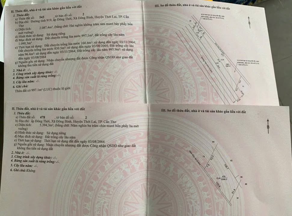 Đất nền 7500m² Tỉnh Lộ 919, Huyện Vĩnh Thạnh, giá 18.75 tỷ - Tiềm năng đầu tư lớn!