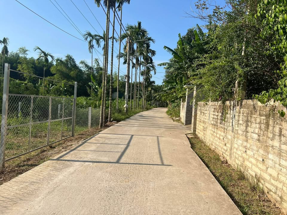 Đất nhà vườn Hòa Ninh 330m² giá chỉ 2 tỷ - Đầu tư lâu dài!