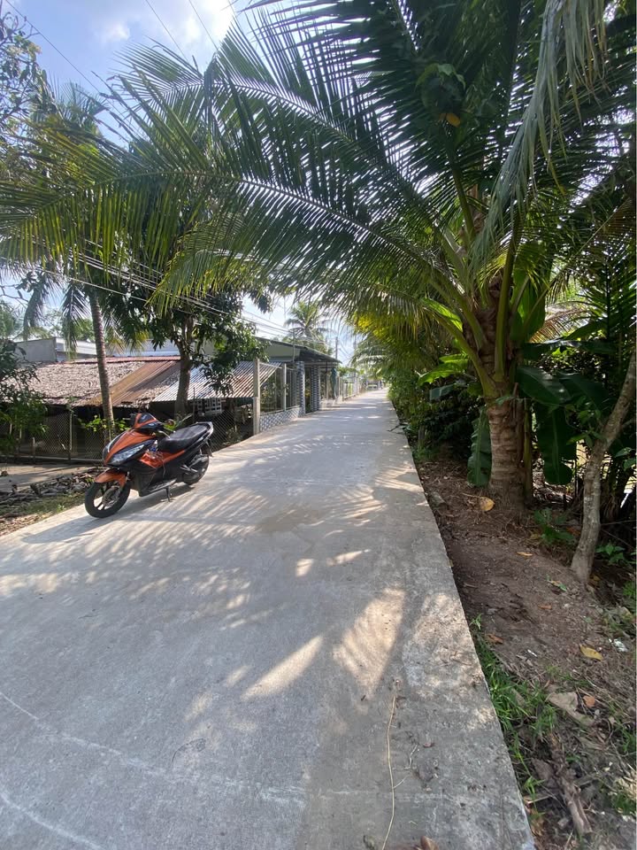 Đất nền thổ cư Phường An Bình - Giá chỉ 900 triệu - Cơ hội đầu tư tốt!