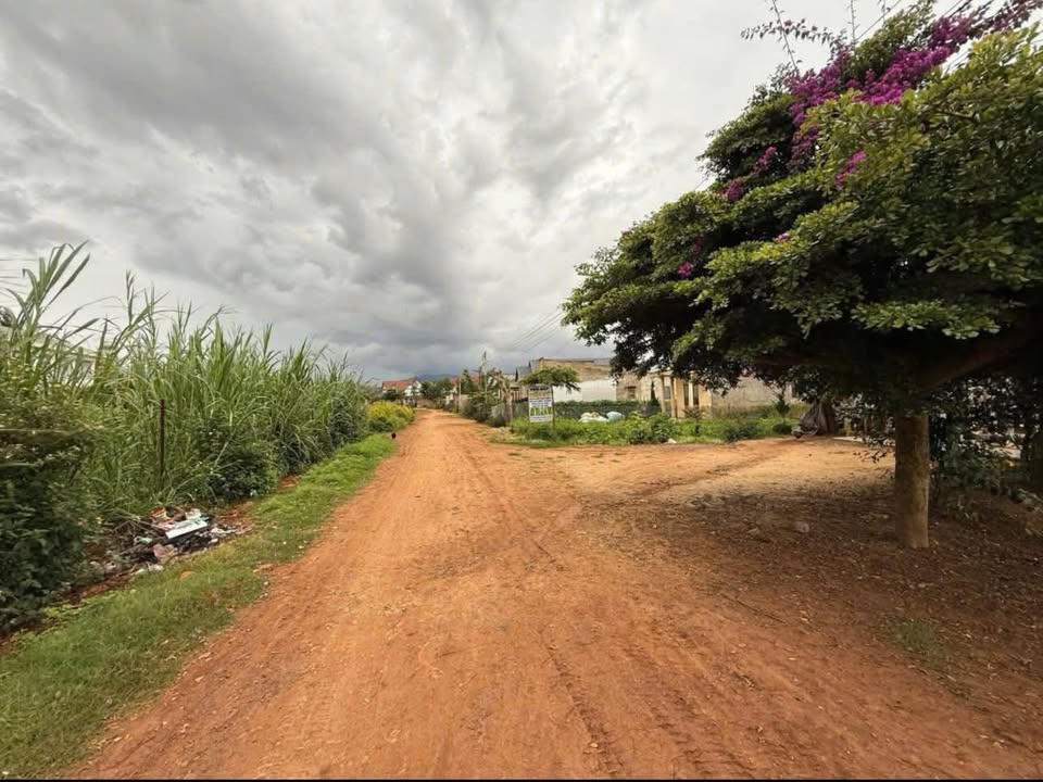 Bán đất sào Đơn Dương Lâm Đồng 1760m² - Pháp lý rõ ràng, đầu tư sinh lời!