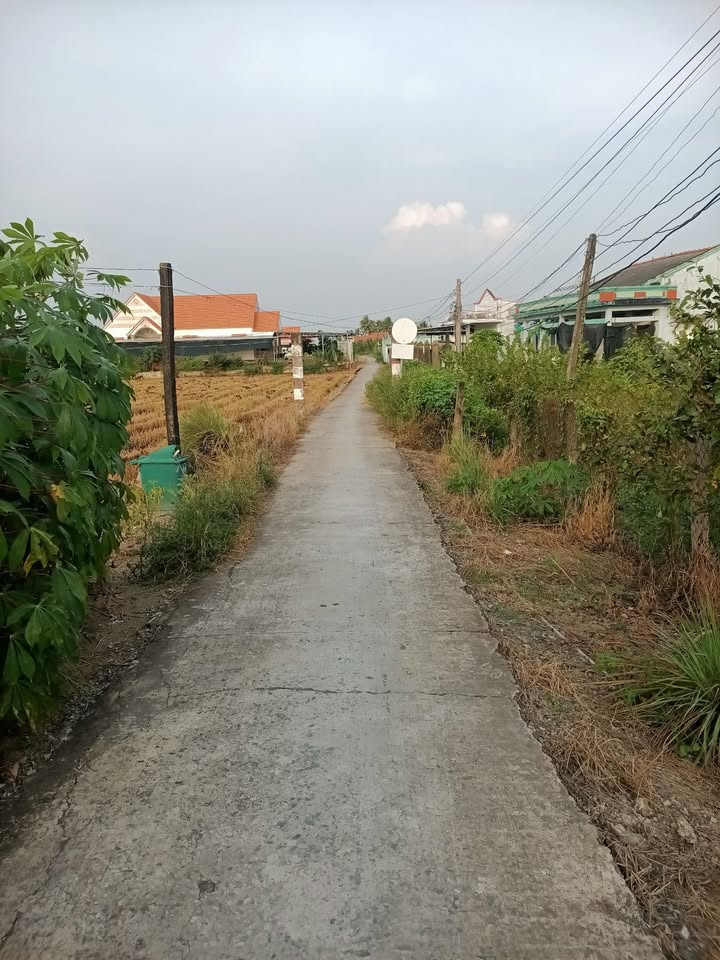 Đất nền khu phố 5, Bình Xuân, Gò Công 627m² giá 1.5 tỷ - Cơ hội đầu tư tuyệt vời!