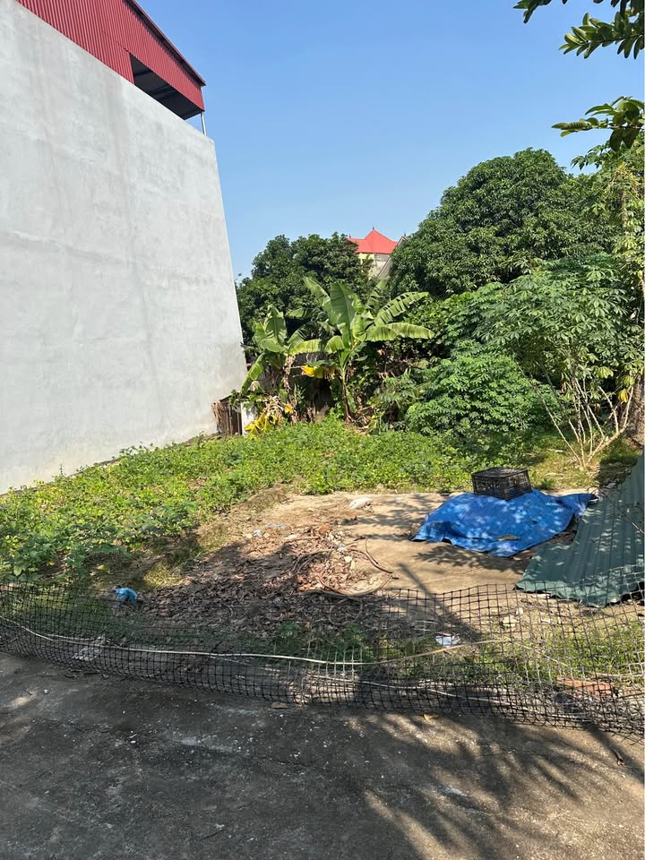 Đất nền Huyện Bình Xuyên 65.5m² giá 1 tỷ - Cơ hội đầu tư hiếm có!