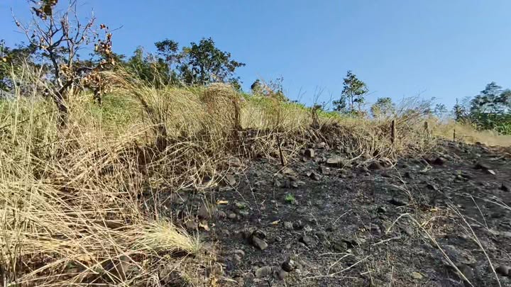 Lô đất 8 xào tại xã Đê Ar, huyện Mang Yang, giá chỉ 150 triệu - Cơ hội đầu tư hấp dẫn!