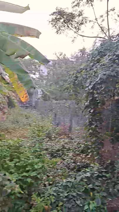 Đất nền 300m² tại Nghĩa Thành, Châu Đức chỉ 2.1 tỷ - Sổ hồng chính chủ!