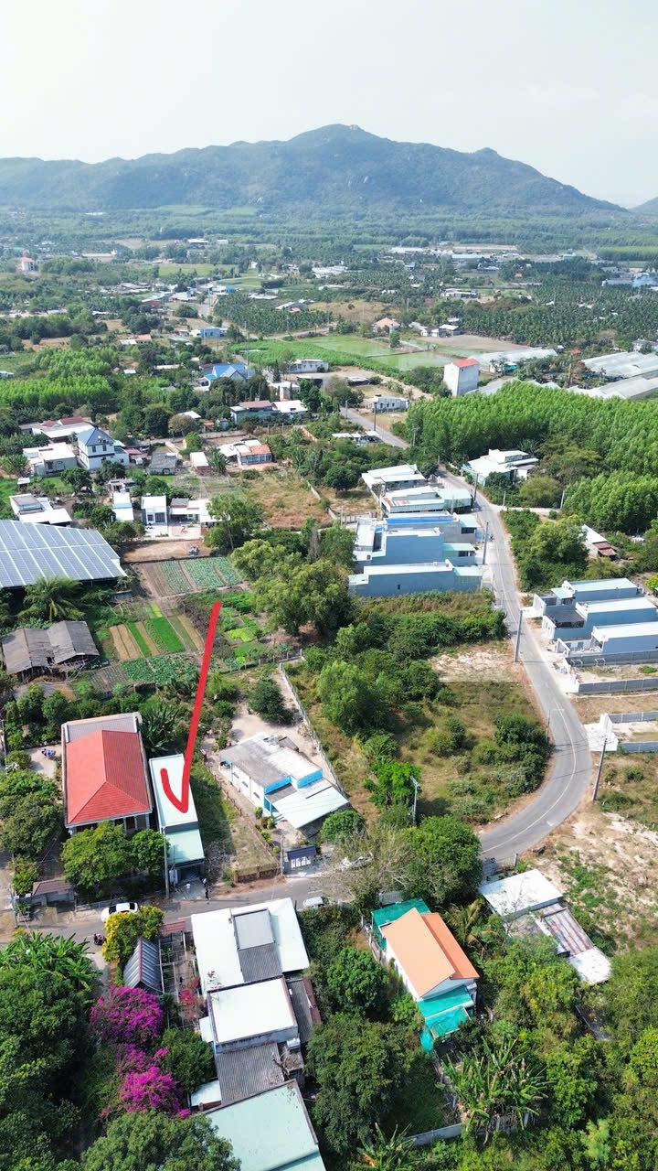 Nhà riêng Phước Hải 125m² giá 2.05 tỷ - Nhận nhà đón Tết ngay!