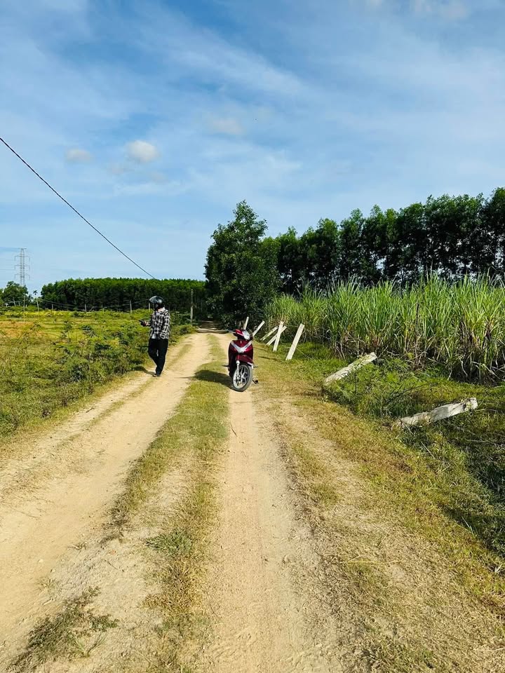 Đất nền xã Đức Tân, huyện Mộ Đức 2160m² giá thương lượng - Cơ hội đầu tư hấp dẫn!